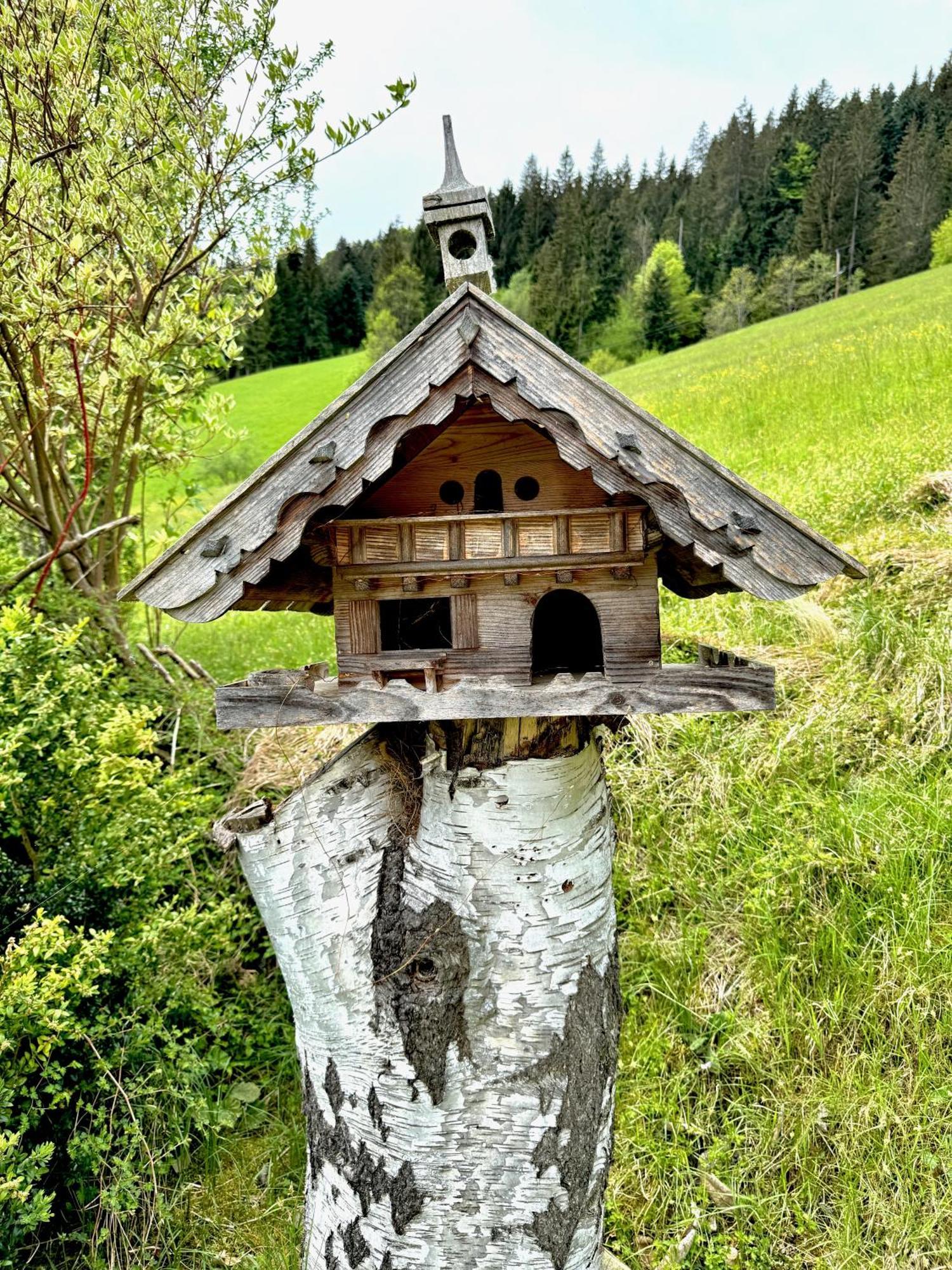 5* Panorama Chalet Mit Sauna By Belle Stay Going am Wilden Kaiser Zewnętrze zdjęcie